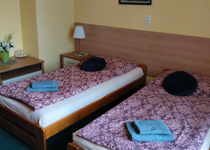 Maison d'hôtes U Zámku 3*