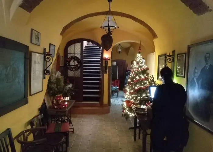 Maison d'hôtes U Zámku 3*